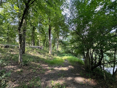Riverfront Lot For Sale Little Red River Heber Springs, AR - image 10