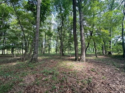 Riverfront Lot For Sale Little Red River Heber Springs, AR - image 3