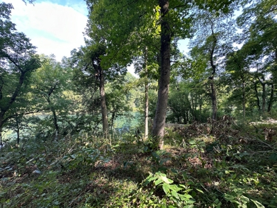 Riverfront Lot For Sale Little Red River Heber Springs, AR - image 25