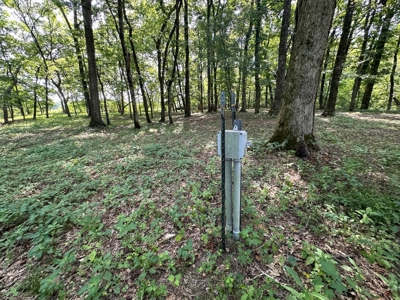 Riverfront Lot For Sale Little Red River Heber Springs, AR - image 27
