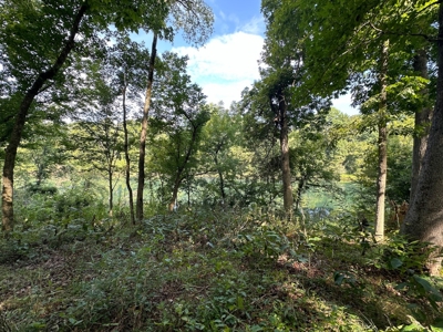 Riverfront Lot For Sale Little Red River Heber Springs, AR - image 24