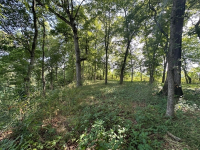 Riverfront Lot For Sale Little Red River Heber Springs, AR - image 17