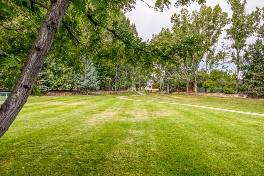 Jennifer Thomas Realtor United Country Home 