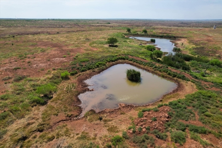 480 Acre Hunting and Cattle Ranch in Harmon County, SW OK - image 28