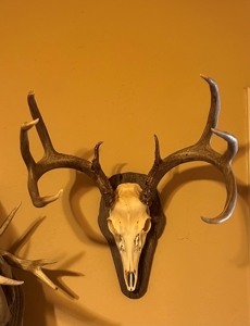 480 Acre Hunting and Cattle Ranch in Harmon County, SW OK - image 41