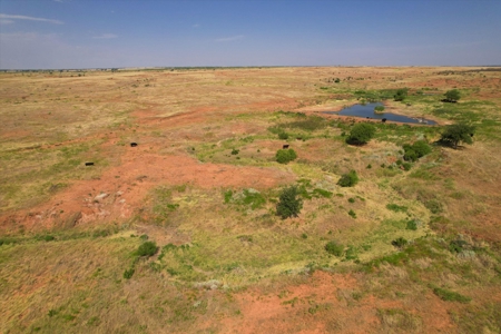 480 Acre Hunting and Cattle Ranch in Harmon County, SW OK - image 16