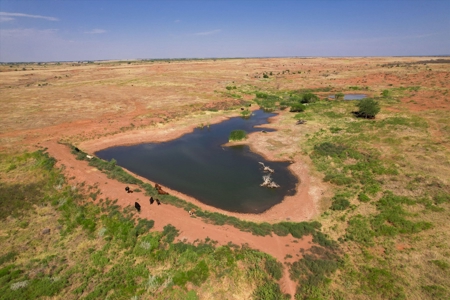 480 Acre Hunting and Cattle Ranch in Harmon County, SW OK - image 17