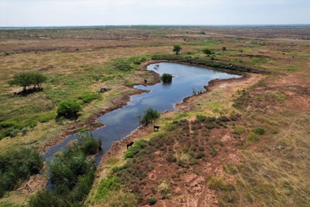 480 Acre Hunting and Cattle Ranch in Harmon County, SW OK - image 19