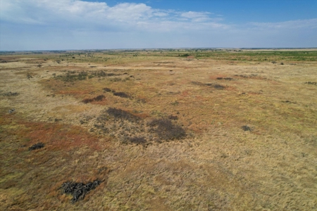 480 Acre Hunting and Cattle Ranch in Harmon County, SW OK - image 32