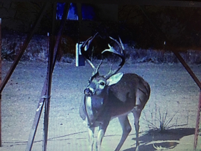 480 Acre Hunting and Cattle Ranch in Harmon County, SW OK - image 39