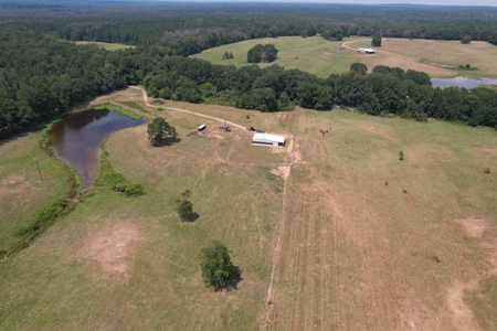 Farm For Sale with Barndominium Copiah County Mississippi - image 7