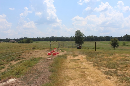 Farm For Sale with Barndominium Copiah County Mississippi - image 32