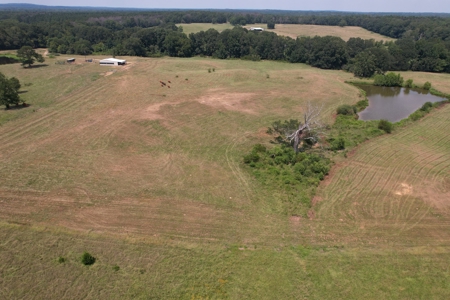 Farm For Sale with Barndominium Copiah County Mississippi - image 9
