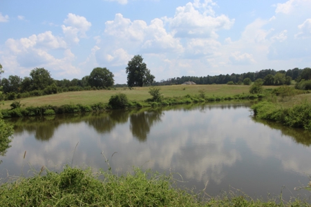 Farm For Sale with Barndominium Copiah County Mississippi - image 46