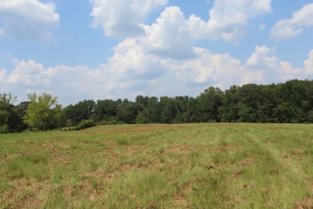 Farm For Sale with Barndominium Copiah County Mississippi - image 49