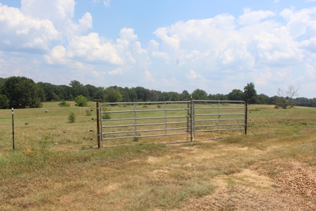 Farm For Sale with Barndominium Copiah County Mississippi - image 29
