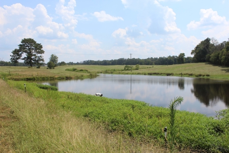 Farm For Sale with Barndominium Copiah County Mississippi - image 39