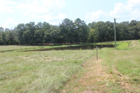 Farm For Sale with Barndominium Copiah County Mississippi - image 36