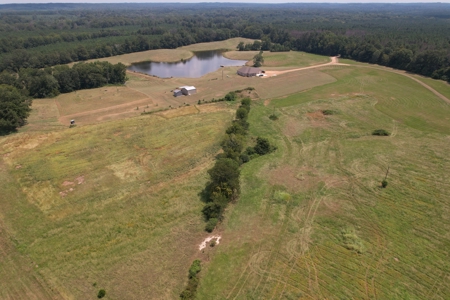 Farm For Sale with Barndominium Copiah County Mississippi - image 8