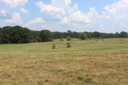 Farm For Sale with Barndominium Copiah County Mississippi - image 31