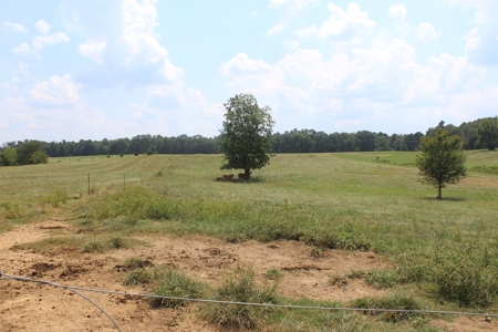 Farm For Sale with Barndominium Copiah County Mississippi - image 34