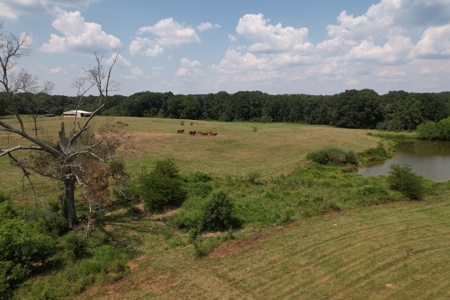 Farm For Sale with Barndominium Copiah County Mississippi - image 10