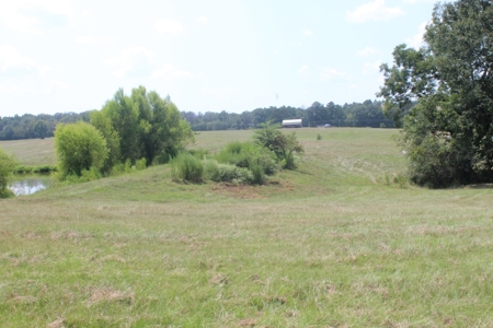 Farm For Sale with Barndominium Copiah County Mississippi - image 45