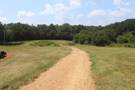 Farm For Sale with Barndominium Copiah County Mississippi - image 28