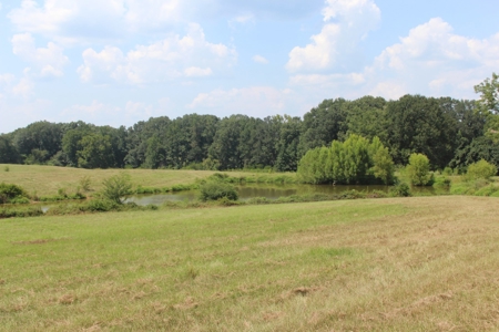 Farm For Sale with Barndominium Copiah County Mississippi - image 43