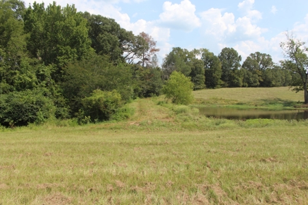 Farm For Sale with Barndominium Copiah County Mississippi - image 50