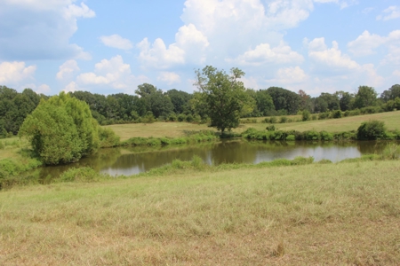 Farm For Sale with Barndominium Copiah County Mississippi - image 47