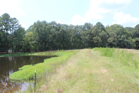 Farm For Sale with Barndominium Copiah County Mississippi - image 38