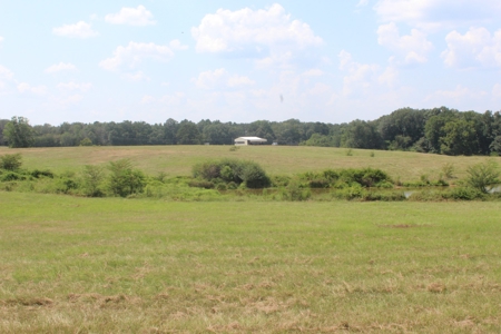 Farm For Sale with Barndominium Copiah County Mississippi - image 44