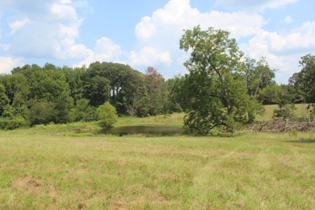 Farm For Sale with Barndominium Copiah County Mississippi - image 48