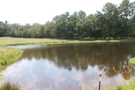 Farm For Sale with Barndominium Copiah County Mississippi - image 37
