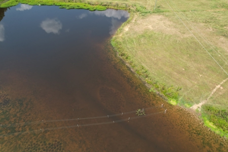 Farm For Sale with Barndominium Copiah County Mississippi - image 5