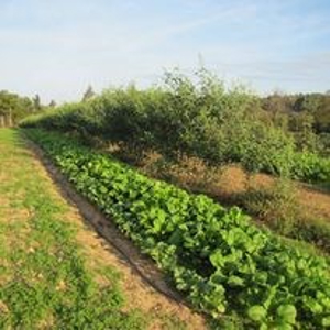 Waterfront Farm In Arkansas For Sale - image 17