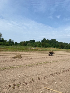 Waterfront Farm In Arkansas For Sale - image 39
