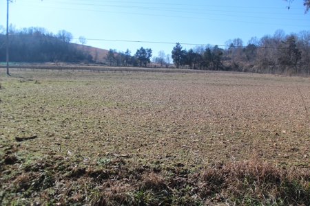 Waterfront Farm In Arkansas For Sale - image 30