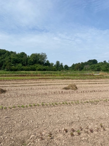 Waterfront Farm In Arkansas For Sale - image 37