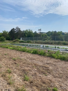 Waterfront Farm In Arkansas For Sale - image 38