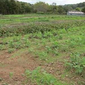 Waterfront Farm In Arkansas For Sale - image 16