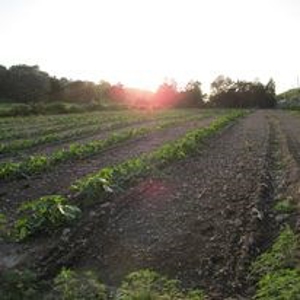 Waterfront Farm In Arkansas For Sale - image 13