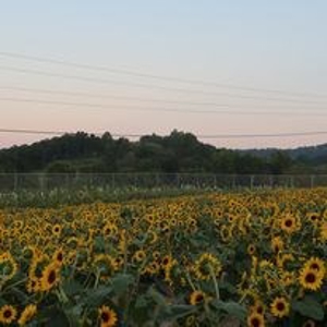 Waterfront Farm In Arkansas For Sale - image 18