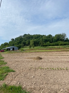 Waterfront Farm In Arkansas For Sale - image 36