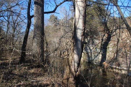 Waterfront Farm In Arkansas For Sale - image 28