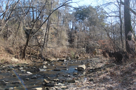 Waterfront Farm In Arkansas For Sale - image 32
