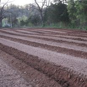 Waterfront Farm In Arkansas For Sale - image 20