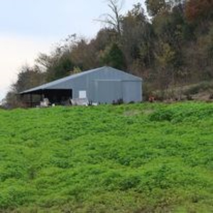 Waterfront Farm In Arkansas For Sale - image 19
