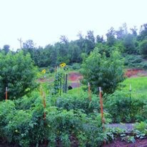 Waterfront Farm In Arkansas For Sale - image 3